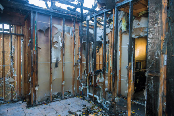 Professional Fire Damage Removal technician working in Daleville, AL